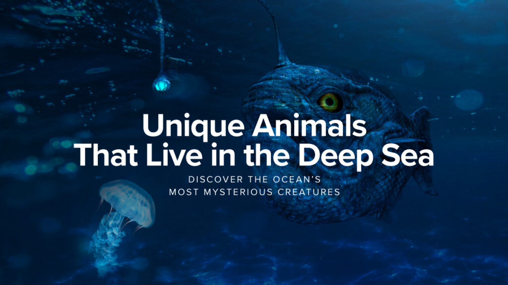 Unique Animals That Live in the Deep Sea: Discover the Ocean’s Most Mysterious Creatures